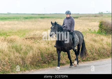 Garretstown, West Cork, Irland. Juni 2020. Trotz der Sturmwinde gingen Einheimische und Touristen heute gleichermaßen an den Strand von Garrettstown. Credit: AG News/Alamy Live News Stockfoto