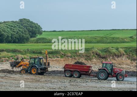 Garretstown, West Cork, Irland. Juni 2020. Trotz der Sturmwinde gingen Einheimische und Touristen heute gleichermaßen an den Strand von Garretstown. Der Kreisrat war damit beschäftigt, den Strand von Algen zu reinigen. Credit: AG News/Alamy Live News Stockfoto