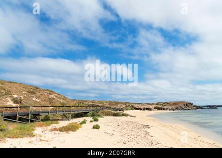 Strand auf Penguin Island, Rockingham, Western Australia, Australien Stockfoto