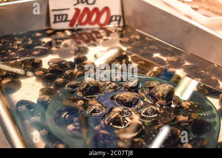 Frische Meeresmuscheln im Wasser auf einem Fischmarkt in Kanazawa Japan verkauft Stockfoto