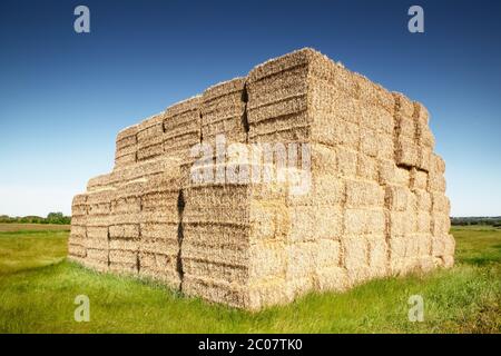 Großer Heuhaufen in einem Feld in der landschaft von essex von Battlesbridge Stockfoto