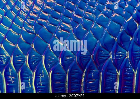 Blau stylish Skizze nahtlose Muster mit Glitter Haut Krokodil abstrakt für Textil-Design. Nahtloses Muster. Oberflächengestaltung. Luxuriöser Stil. Stockfoto