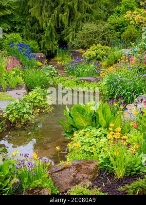 Steingarten mit Teich mit marginalen Pflanzen erweicht. GROSSBRITANNIEN Stockfoto