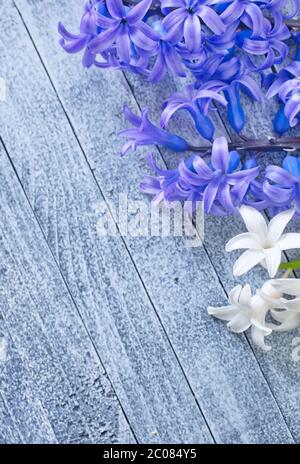 Blumen Stockfoto