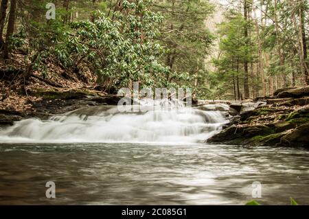Kleine Wasserfallkaskade auf einem Bergbach Stockfoto