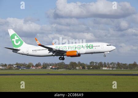 Flughafen Amsterdam Schiphol - Boeing 737 von Transavia landet Stockfoto