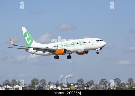 Flughafen Amsterdam Schiphol - Boeing 737 von Transavia landet Stockfoto