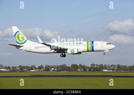 Flughafen Amsterdam Schiphol - Boeing 737 von Transavia landet Stockfoto