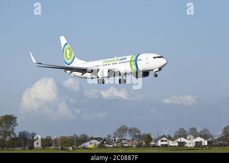 Flughafen Amsterdam Schiphol - Boeing 737 von Transavia landet Stockfoto