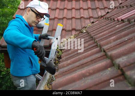 Mann auf der Leiter reinigt Rinne auf dem Dach. Wartung eines privaten Hauses. Stockfoto