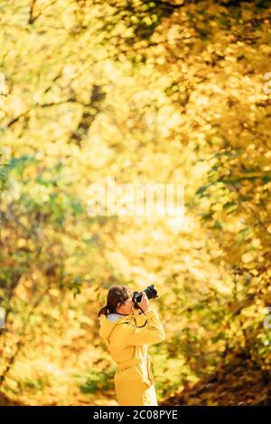 Aurlandsfjellet, Norwegen. Junge Frau Tourist Photographer Fotografin Bilder Von Herbst Yellow Forest Park. Lady Walking Im Herbst Park Mit Gelb Stockfoto