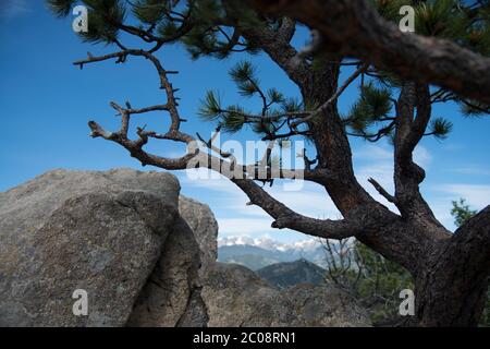 Estes Park ist eine statutarische Stadt in Larimer County, Colorado, USA. Ein beliebtes Sommerresort in der Nähe des Rocky Mountain National Park Stockfoto