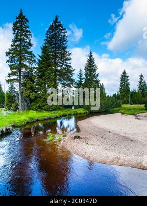 Kleiner Bergbach mitten in grünen Wiesen und Fichtenwald, Isergebirge, Tschechien. Stockfoto