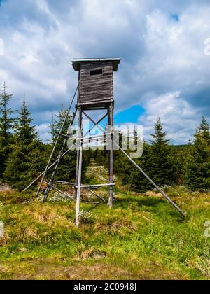 Holzhochsitz Turm für Jäger im Wald Stockfoto