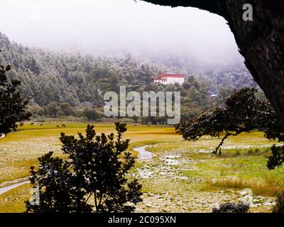 Chongu Kloster in Yading nationalen Ebene Reserve, Daocheng, Sichuan, China Stockfoto