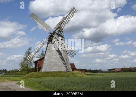 Windmühle Bierde (Petershagen) Stockfoto