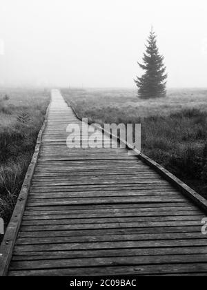 Holzweg in Moor in schwarz und weiß, Bozi dar, Tschechische Republik Stockfoto