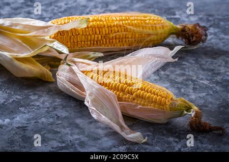 Eine frische, reife Ähre von Mais auf dem Tisch liegen. Stockfoto