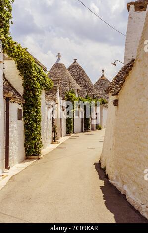 Kleines weißes Haus mit Efeu bedeckt auf der schmalen Straße in Alberobello an sonnigen Tag Stockfoto