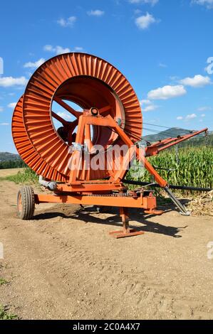 Landwirtschaftliche Bewässerung mit einer großen Schlauchtrommel in einem Kornfeld im Sommer. Stockfoto