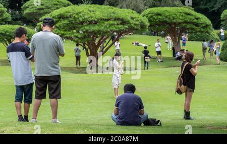 Gruppe von Menschen mit Smartphone im Shinjuku Gyoen Garden im Sommer, Tokio, Japan. Stockfoto