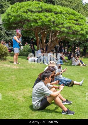 Gruppe von Menschen mit Smartphone im Shinjuku Gyoen Garden im Sommer, Tokio, Japan. Stockfoto