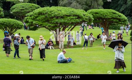 Gruppe von Menschen mit Smartphone im Shinjuku Gyoen Garden im Sommer, Tokio, Japan. Stockfoto