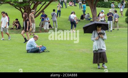 Frau mit Regenschirm und Smartphone im Shinjuku Gyoen Garden im Sommer, Tokio, Japan. Stockfoto