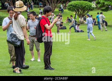 Gruppe von Menschen mit Smartphone im Shinjuku Gyoen Garden im Sommer, Tokio, Japan. Stockfoto