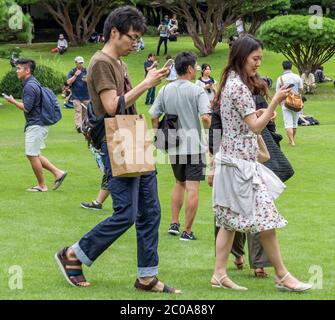 Gruppe von Menschen mit Smartphone im Shinjuku Gyoen Garden im Sommer, Tokio, Japan. Stockfoto