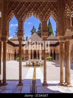 Patio de los Leones (Hof der Löwen), Palacio Nazaries, La Alhambra, Grenada, Provinz Grenada, Andalusien (Andalusien), Königreich Spanien Stockfoto