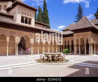 Patio de los Leones (Hof der Löwen), Palacio Nazaries, La Alhambra, Grenada, Provinz Grenada, Andalusien (Andalusien), Königreich Spanien Stockfoto