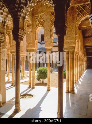 Patio de los Leones (Hof der Löwen), Palacio Nazaries, La Alhambra, Grenada, Provinz Grenada, Andalusien (Andalusien), Königreich Spanien Stockfoto