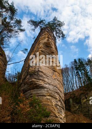 Schmaler und hoher Sandsteinfelsen mit kleinen Kiefern auf der Spitze, Plakanek-Tal, Böhmisches Paradies, Tschechische Republik Stockfoto