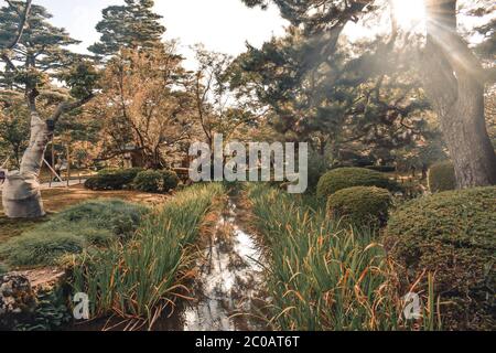 Sonne scheint durch Bäume durch einen Bach im Kenrokuen Garten in Kanazawa Japan Stockfoto