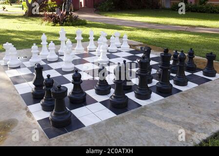 Zahlen zum Spiel in Schach auf die Natur Stockfoto