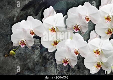 3d Wallpaper Textur, weiße Orchideen auf abstrakten Leinwand Texturen. Grauer Hintergrund. Wandgemälde-Effekt. Stockfoto
