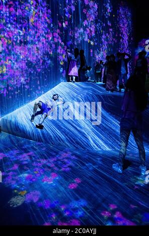 Menschen entdecken und genießen grenzenlosen Welt digital art Ausstellung von teamLab bei Mori Building, Odaiba, Tokio, Japan. Stockfoto