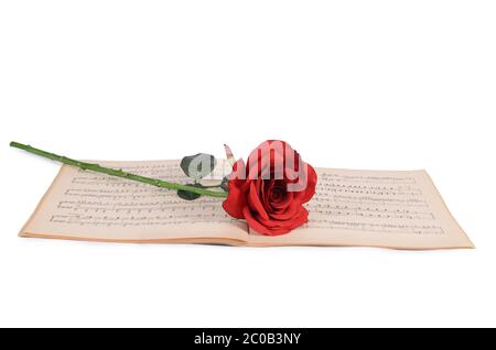 Die Rose auf Notebooks mit Noten Stockfoto
