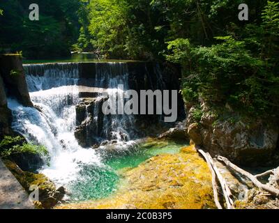 Romantischer Wasserfall mit klarem blauen Wasser in der Vintgar-Schlucht, Radovna in den Julischen Alpen, Slowenien, Europa. Stockfoto