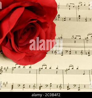 Die Rose auf Notebooks mit Noten Stockfoto
