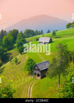 Luftaufnahme der traditionellen slowenischen Berglandschaft mit Heuschuppen in steilen Hügel, Julischen Alpen, Slowenien Stockfoto