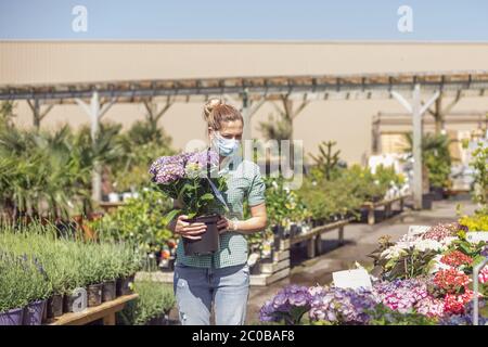 Mädchen mit medizinischer Maske hält Hortensien in einem Topf in einem Blumenladen Stockfoto
