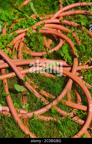 Orangefarbener Gartenschlauch, der in grünem Gras verwickelt ist Stockfoto