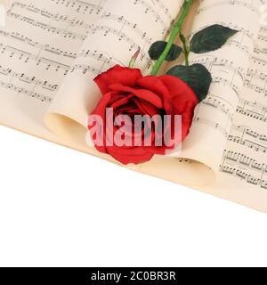 Die Rose auf Notebooks mit Noten Stockfoto