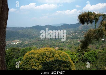 Das Akha-Bergstämme-Dorf Doi Chang vom Doi Chaang Kaffeehaus in der Provinz Chiang Rai im Norden Thailands aus gesehen. Stockfoto