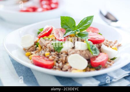 Kalte Salat aus Dinkel mit Mozzarella, Tomaten und Thunfisch Stockfoto