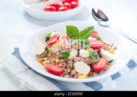 Kalte Salat aus Dinkel mit Mozzarella, Tomaten und Thunfisch Stockfoto