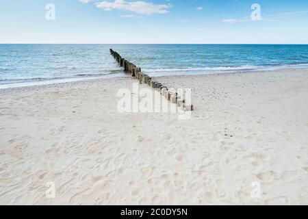 Ein alter, einsamer, hölzerne Pier Steg, Surf Break am Strand. Bei Nida an der Kurischen Nehrung an der Ostsee in Litauen. Stockfoto