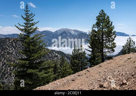 Blick auf den 10068 Fuß hohen Mt Baldy Gipfel vom Hawkins Ridge Trail in den San Gabriel Mountains. Es ist der höchste Gipfel in Los Angeles County, CA. Stockfoto